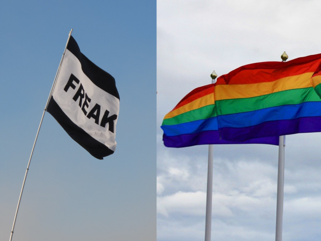 freak and pride flag