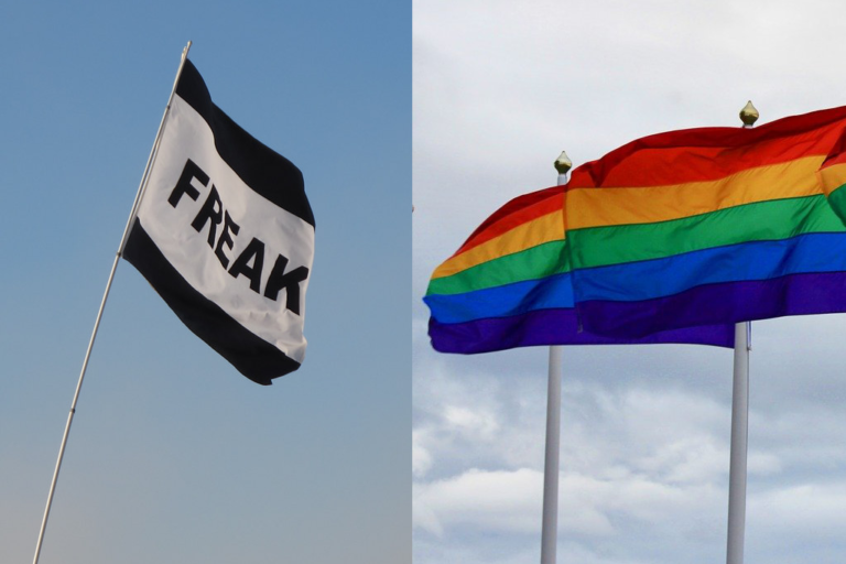 freak and pride flag