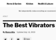screenshot of New York Times Best Vibrators of 2023 article