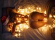 sexy girl dressed in christmas lingerie with christmas lights